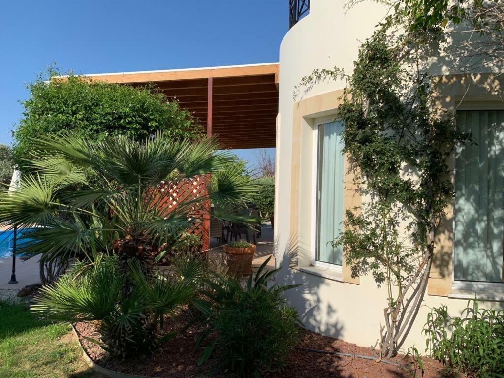 Beach Villa Sofia Neo Chorio Exteriér fotografie